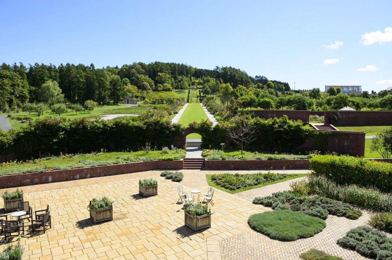 🌳 유니 정원 (유니 가든) 이미지 4